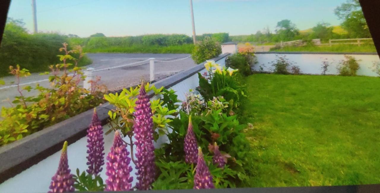 Cozy Cottage Retreat In Listowel Pet Friend Экстерьер фото